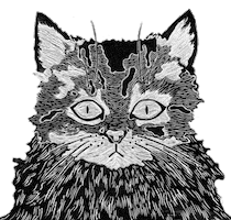 Black And White What Sticker by dylanreitz