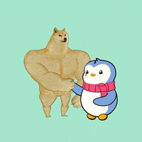 Shiba Inu Dog GIF by Pudgy Penguins