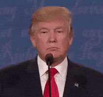 Political gif. Donald Trump nods his head. He smiles smugly as he glances to the side.
