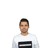 dennisbeso beso dennis tilburg dennis beso Sticker