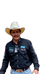 Nelore Sticker by confiboioficial