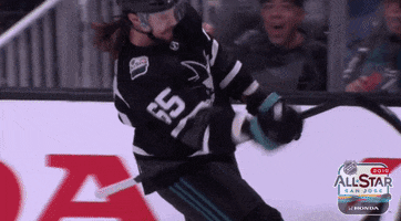 celebrate ice hockey GIF by NHL