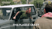 Gordon Ramsay Disney Plus GIF by National Geographic TV
