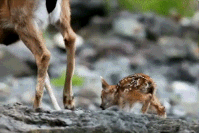 baby mother GIF
