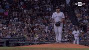 New York Yankees Sport GIF by YES Network