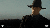 remember season 2 GIF by Westworld HBO