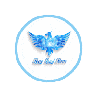 Aimnationals Sticker by America's International Miss