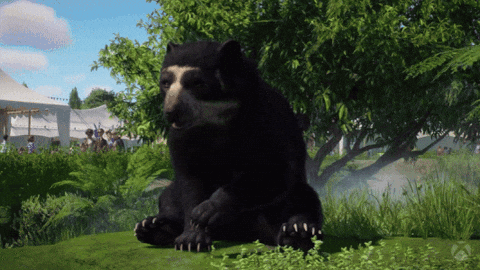 Bear Scratch GIF by Xbox