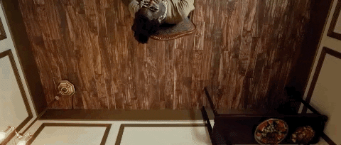 young thug homie GIF