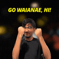 Honolulu Waianae GIF