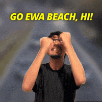 Honolulu GIF