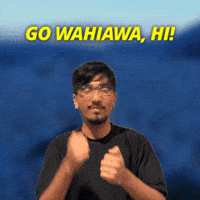 Honolulu GIF