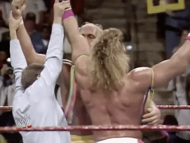 Hulk Hogan Sport GIF by WWE