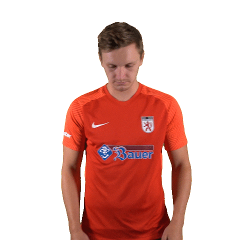 Wsb Sticker by WasserburgerLöwen