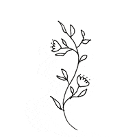 Flor Naturaleza GIF by Usina Contenido