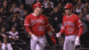Shohei Ohtani Post GIF by MLB