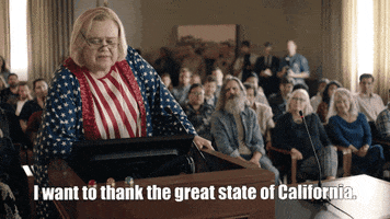 California Thank You GIF by BasketsFX