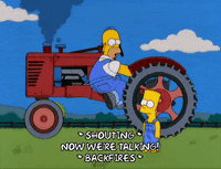 homer simpson GIF
