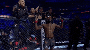 Aljamain Sterling Sport GIF by UFC