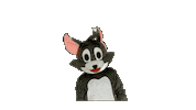 Football Tom Sticker by Kirchdorf Wildcats