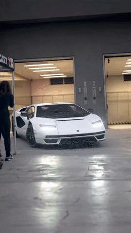 Motorcycles GIF by Gotham Ducati Desmo Owners Club