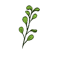 Dii_supplements vitamin supplement dii diisupplements Sticker