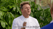 gordon ramsay GIF by Hell's Kitchen