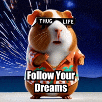 Follow Your Dreams GIF by Guinea Gambino