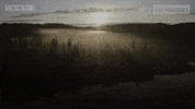 crimeinvestigationuk  GIF