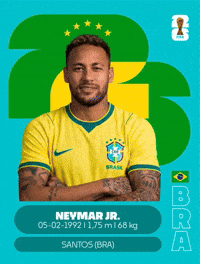 Copa Do Mundo GIF