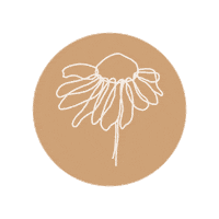 Sunflower Sticker by tleafcollections