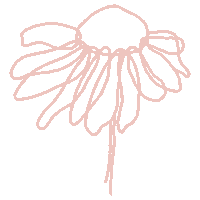 Sunflower Sticker by tleafcollections
