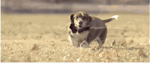 slow motion GIF