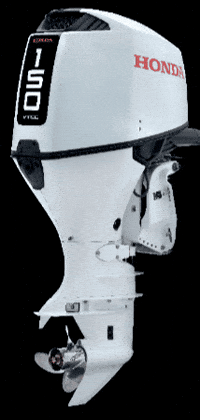 GIF by HondaMarineItalia