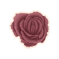 Women Rose Sticker