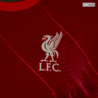 Premier League Football GIF by Liverpool FC