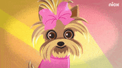 Jojo Siwa Dog GIF by Nickelodeon