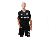 Bayer 04 Logo GIF by Bayer 04 Leverkusen
