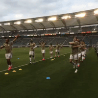 lavhou GIF by LA Galaxy
