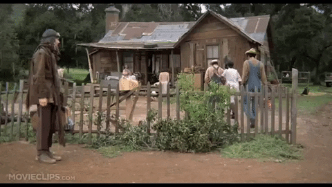 geiselr17 giphygifmaker the jerk GIF