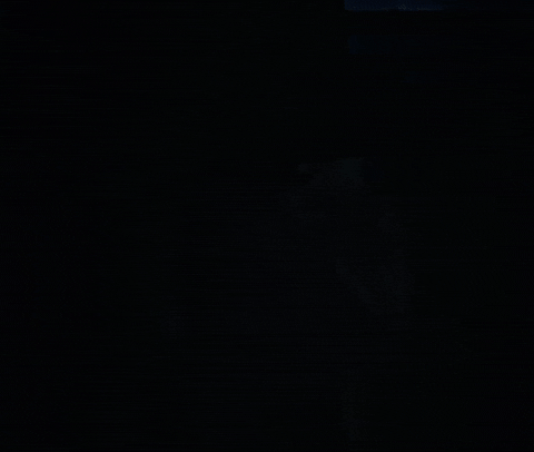 Fairly Local GIF by twenty one pilots