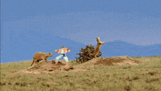 ryu GIF