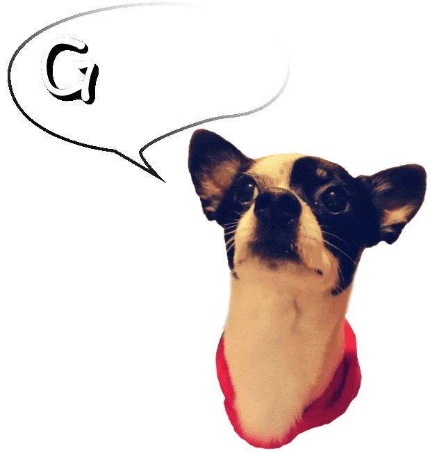 Dog Wow Sticker by Pásalo Chancho