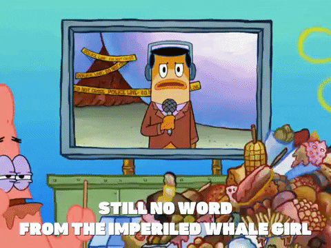 season 7 episode 23 GIF by SpongeBob SquarePants