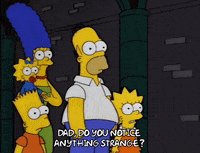homer simpson GIF