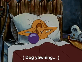 nicksplat GIF