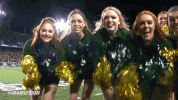csu rams cheer GIF by Colorado State Rams