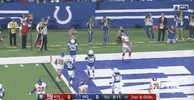 2018 Nfl Football GIF by NFL