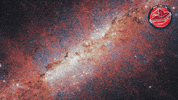 James Webb Nasa GIF by ESA Webb Space Telescope