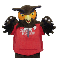 Swoop Pointing Down Sticker by University of Guelph-Humber